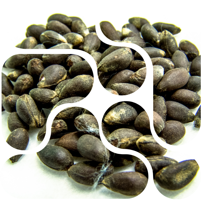 Global Trade and Logistics